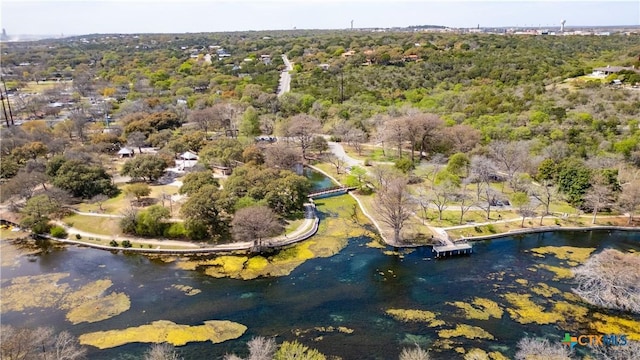 667 Fredericksburg Rd, New Braunfels, TX 78130 - bird's eye view with a water view