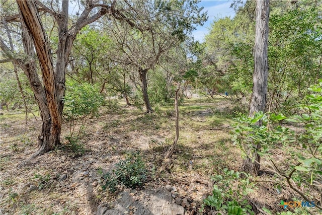 667 Fredericksburg Rd, New Braunfels, TX 78130 - view of local wilderness with a forest view
