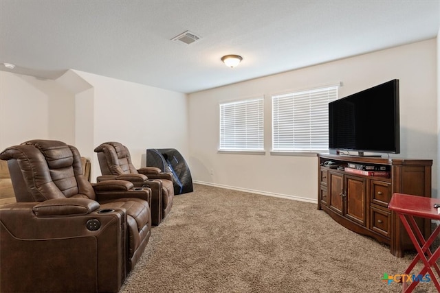 home theater room with carpet