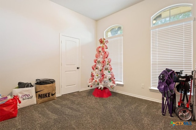 game room with dark carpet