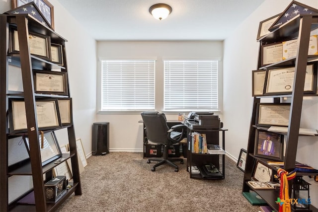 carpeted office space featuring plenty of natural light