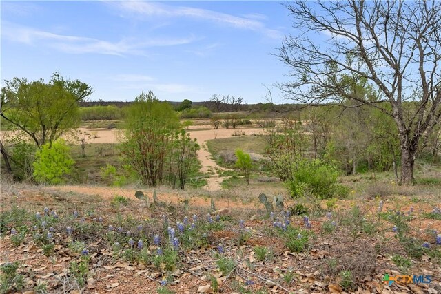 Listing photo 38 - caption unavailable