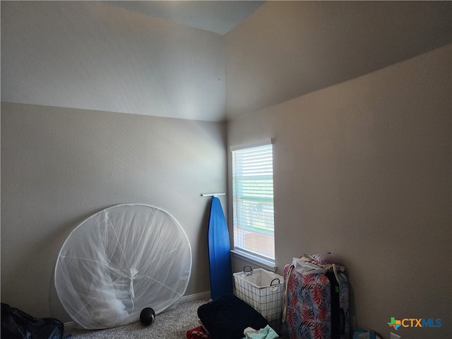 miscellaneous room featuring carpet and vaulted ceiling