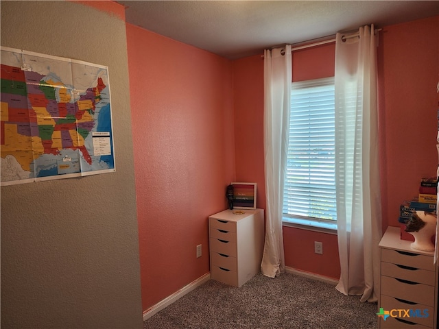 interior space featuring carpet flooring and a textured ceiling