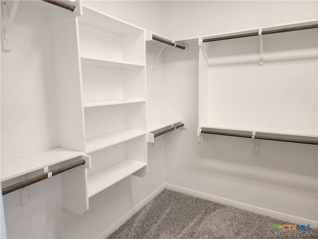 walk in closet featuring carpet floors