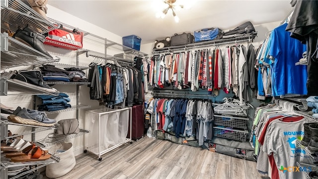 spacious closet featuring hardwood / wood-style floors