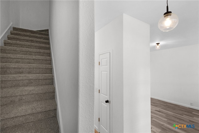 staircase with hardwood / wood-style flooring