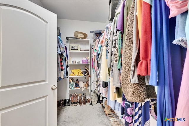 view of spacious closet