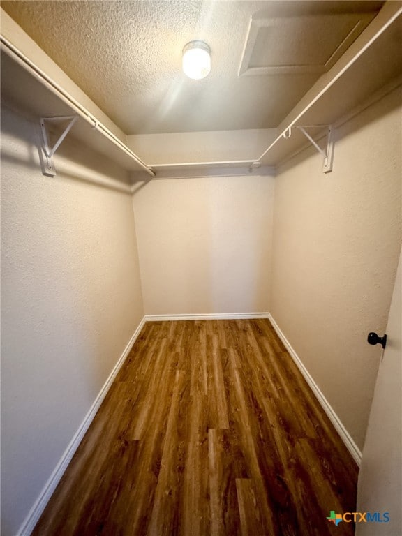 walk in closet with hardwood / wood-style floors