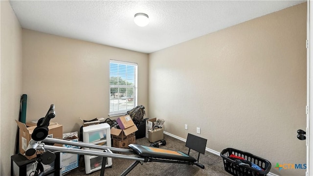 957/959 Floating Star, New Braunfels, TX 78130 - workout room featuring carpet flooring and a textured ceiling