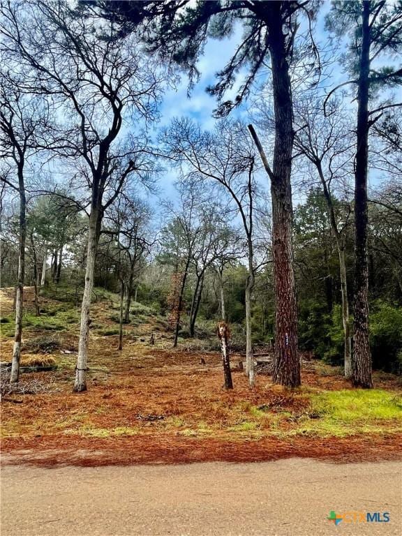 122 Helemano Dr, Bastrop TX, 78602 land for sale