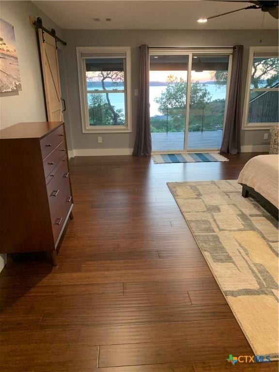 164 Buck Ln, Belton, TX 76513 - bedroom with access to exterior, baseboards, a barn door, dark wood-style floors, and multiple windows