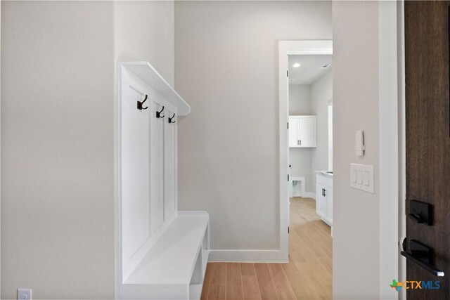 20029 Continental Dr, Lago Vista, TX 78645 - mudroom featuring light wood-style flooring and baseboards