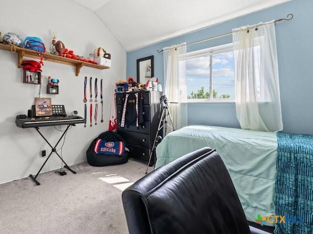405 Arapaho Dr, Harker Heights, TX 76548 - bedroom with carpet and lofted ceiling