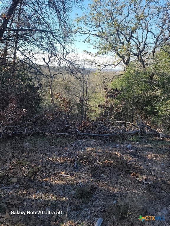 702 Fm 1209, Bastrop TX, 78602 land for sale