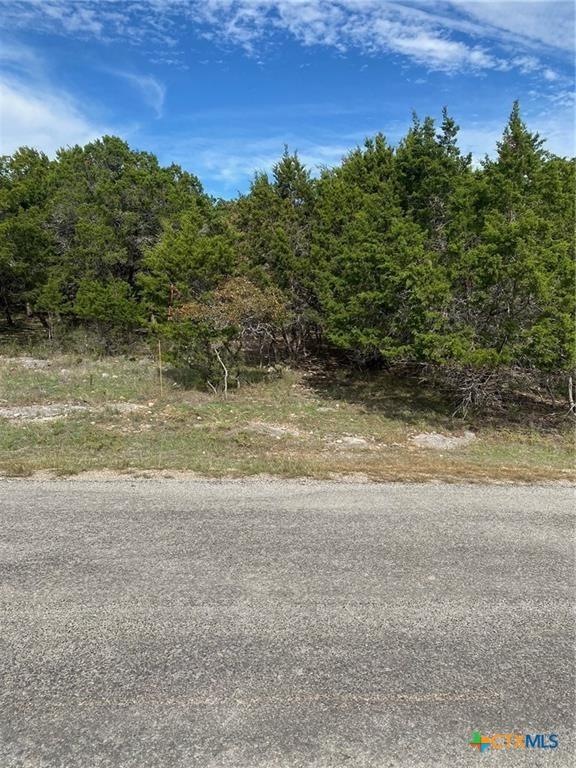 15950 Brazos Dr, Temple, TX 76502 - photo 1