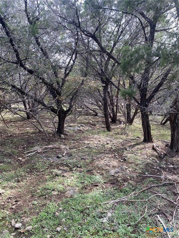 15950 Brazos Dr, Temple, TX 76502 - photo 4