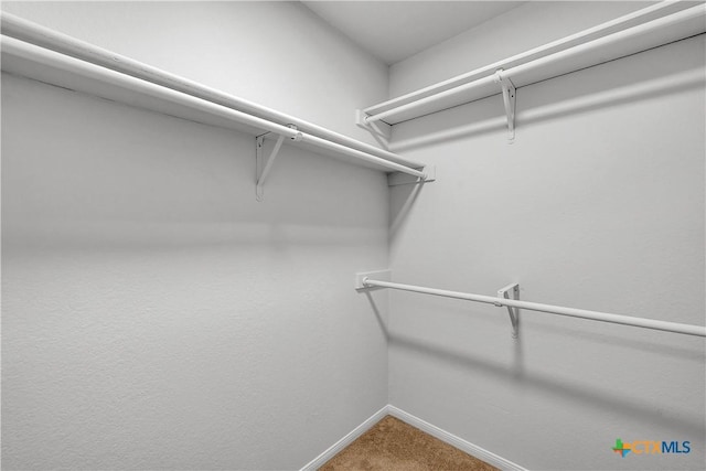 spacious closet with carpet flooring
