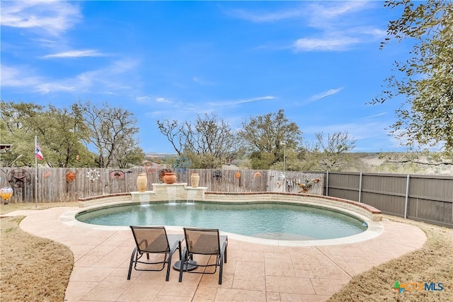 view of swimming pool featuring a fenced in pool, a patio area, and a fenced backyard