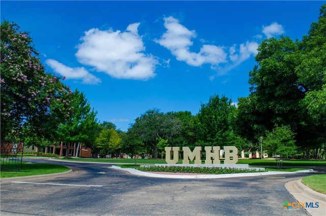 303 E 20th Ave, Belton, TX 76513 - view of asphalt road featuring curbs and view of scattered trees