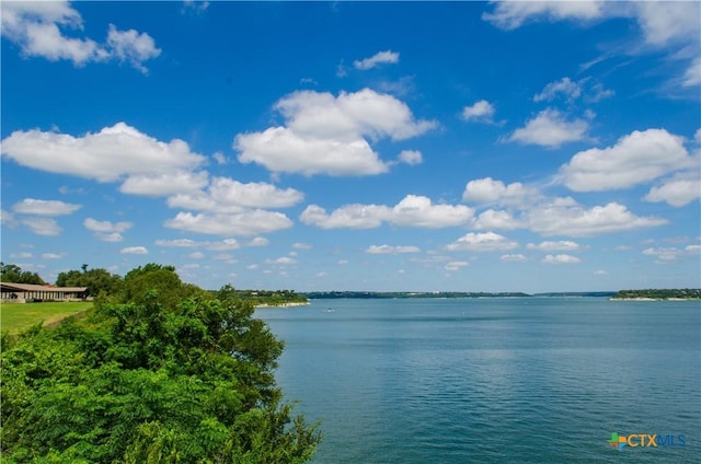 303 E 20th Ave, Belton, TX 76513 - water view