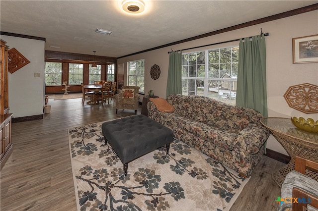 living room with dark wood-type flooring, a textured ceiling, and a healthy amount of sunlight