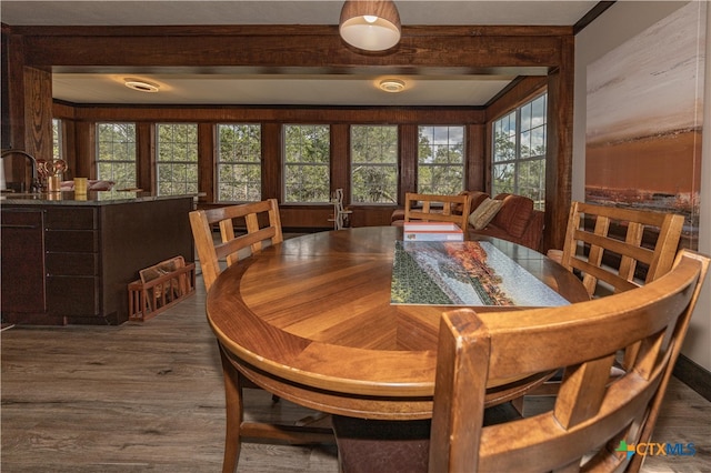 dining area with dark hardwood / wood-style flooring, a wealth of natural light, and crown molding