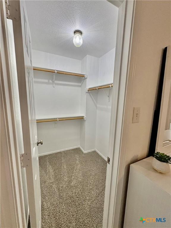 5902 Chuckwagon Cir, Killeen, TX 76542 - walk in closet featuring carpet floors