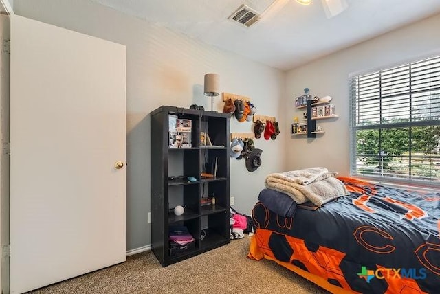 25923 Torch Lily, San Antonio, TX 78260 - view of carpeted bedroom