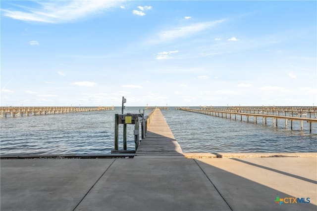 dock area with a water view