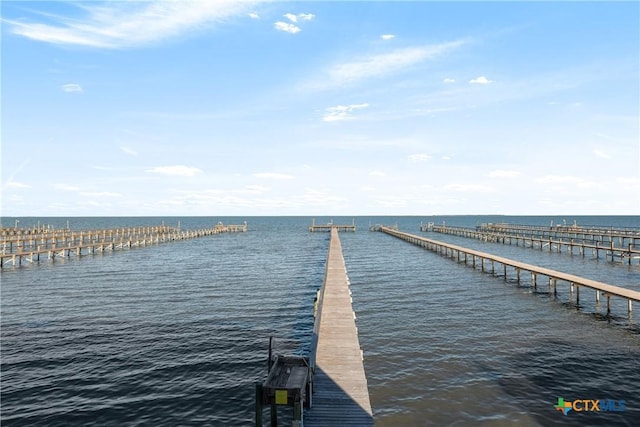 dock area with a water view