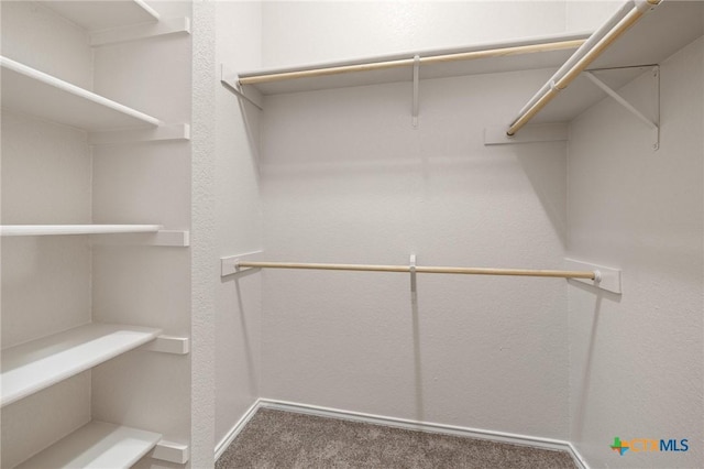7617 Amber Meadow Loop, Temple, TX 76502 - walk in closet featuring carpet flooring