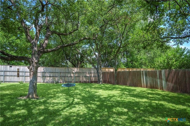 3203 Casawa Cv, Belton, TX 76513 - photo 38