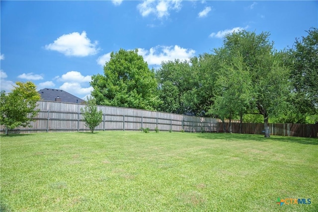 3203 Casawa Cv, Belton, TX 76513 - photo 43