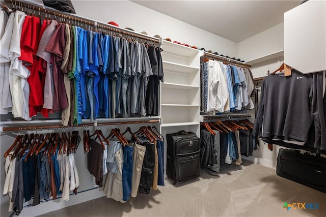 4001 Crockett Ave, Lago Vista, TX 78645 - walk in closet featuring carpet flooring