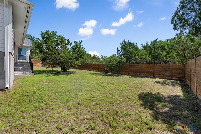4001 Crockett Ave, Lago Vista, TX 78645 - view of yard