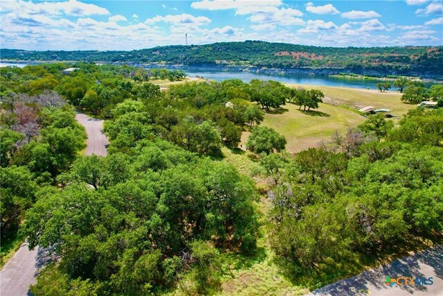 21611 Falcon Ln, Leander, TX 78645