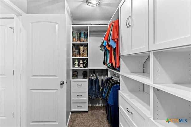 walk in closet with dark colored carpet