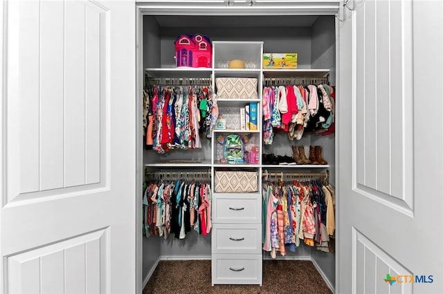 view of closet