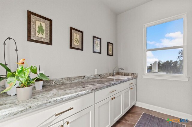 1125 Provence Pl, New Braunfels, TX 78132 - bar area featuring baseboards, a sink, and dark wood-style flooring