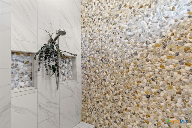 1125 Provence Pl, New Braunfels, TX 78132 - detailed view of tiled shower