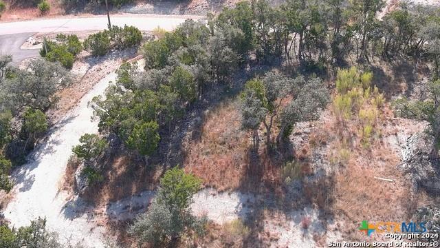 1557 Primrose Path, Canyon Lake, TX 78133