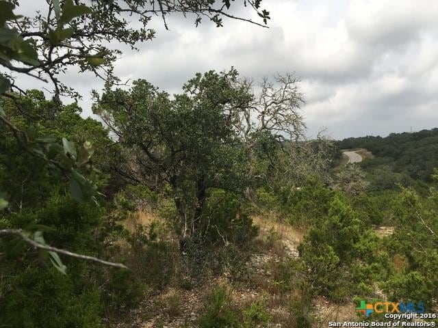 1557 Primrose Path, Canyon Lake, TX 78133