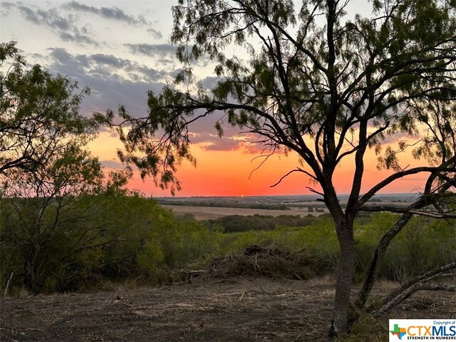 13004 Fm 3353, Kingsbury, TX 78638 - photo 1