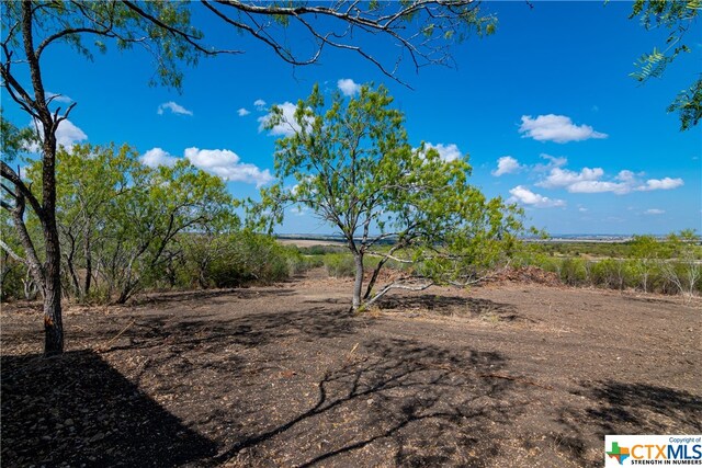 13004 Fm 3353, Kingsbury, TX 78638 - photo 4