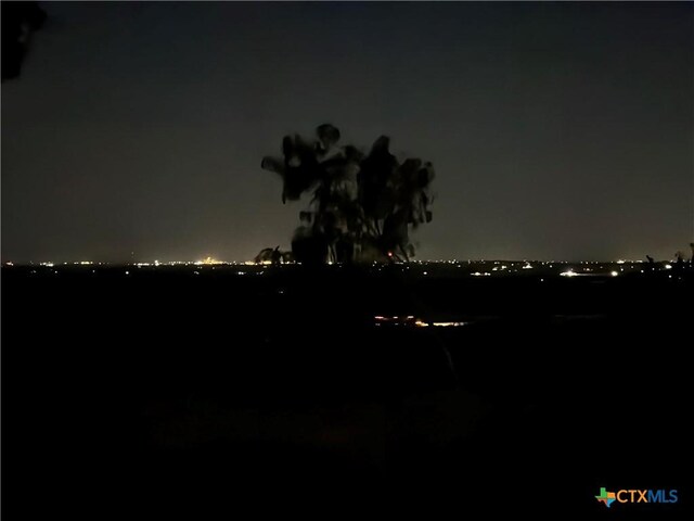 13004 Fm 3353, Kingsbury, TX 78638 - photo 20