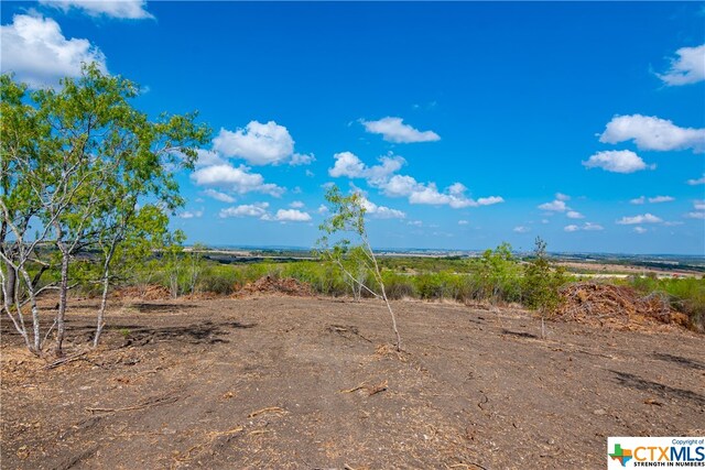 13004 Fm 3353, Kingsbury, TX 78638 - photo 6