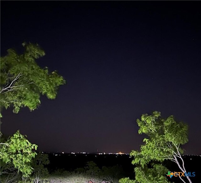 13004 Fm 3353, Kingsbury, TX 78638 - photo 21