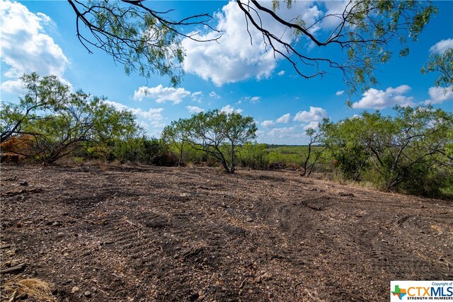 13004 Fm 3353, Kingsbury, TX 78638 - photo 9