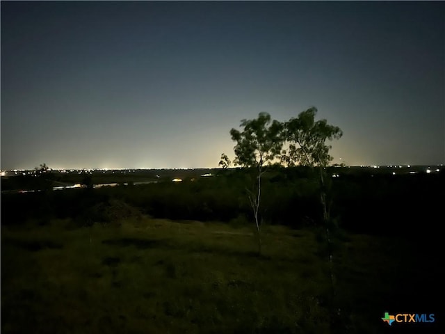13004 Fm 3353, Kingsbury, TX 78638 - photo 18